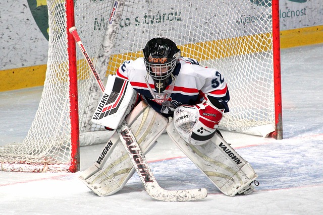 佳的进攻机 佳的进攻机